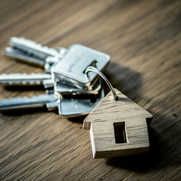 city_green_black_llaves